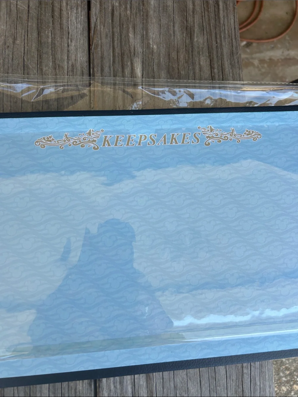 Disney Cruise Line Photo Album Scrapbook NWT 9